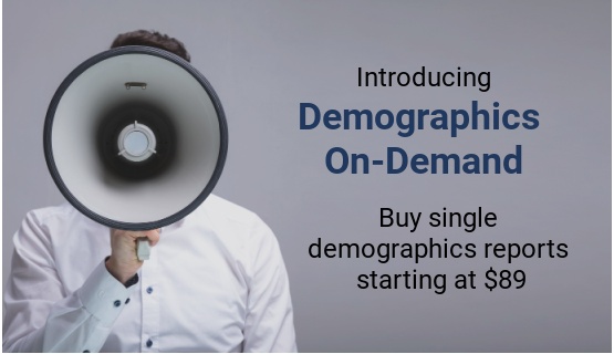 Demographics reports by SiteSeer