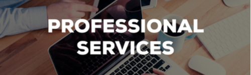 SiteSeer Professional Services