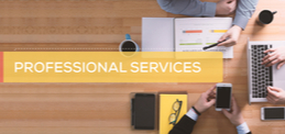 Get help from the SiteSeer professional services team